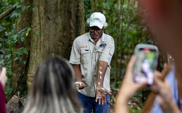 Daintree Rainforest & Mossman Gorge Day Tour from Cairns