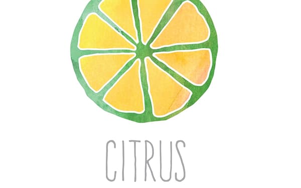 Citrus Health Spa & Massage Experience in Hoi An