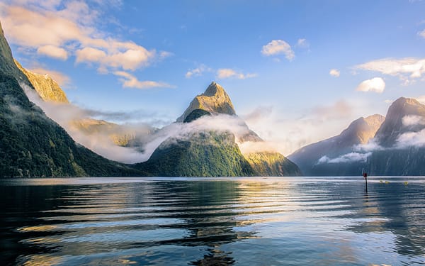 Milford Sound Full-Day Small Group Tour with Lunch