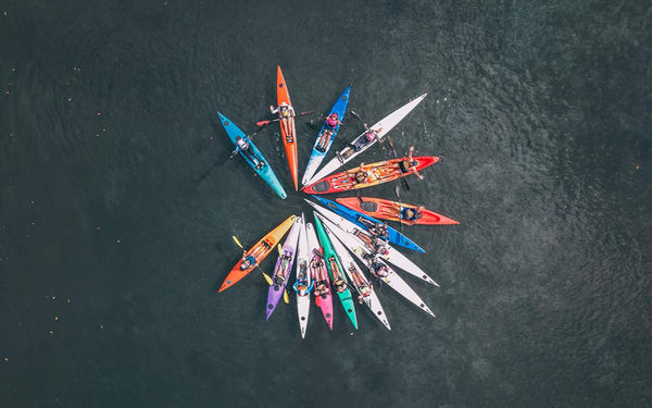 Mangroves and Mansions Guided Kayak Tour of Noosa River