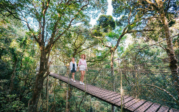 Lamington National Park, O’Reilly’s and Vineyard Tour