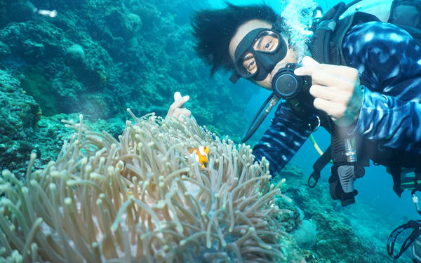 PADI Diving Courses in Koh Phi Phi