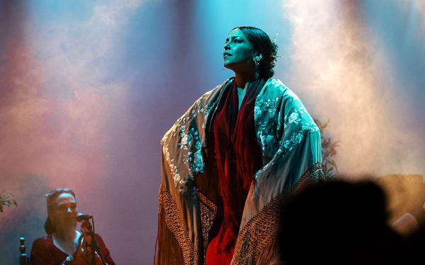 Flamenco Show Ticket at City Hall Theatre in Barcelona