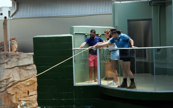 Big Croc Feeding and Guided Tour in Darwin