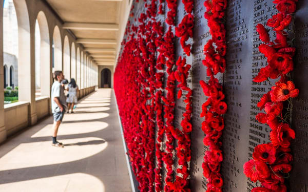 Canberra Highlights Full-Day Tour