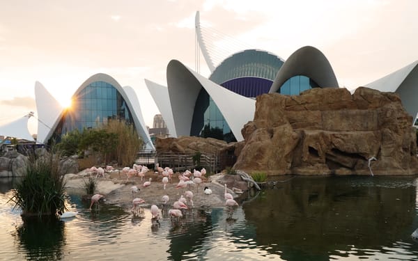 Oceanografic Aquarium Admission in Valencia
