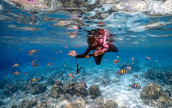 Phuket Dolphin Quest: Racha & Maiton Island Expedition