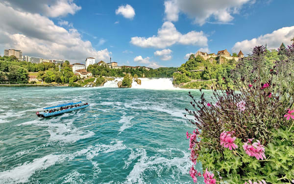 Rhine Falls Half-Day Tour with Transport