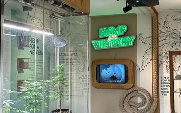Cannabis Museum Amsterdam Ticket