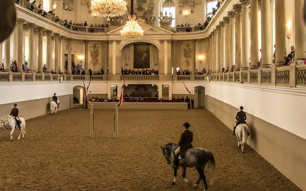 Spanish Riding School Horse Training Session in Vienna