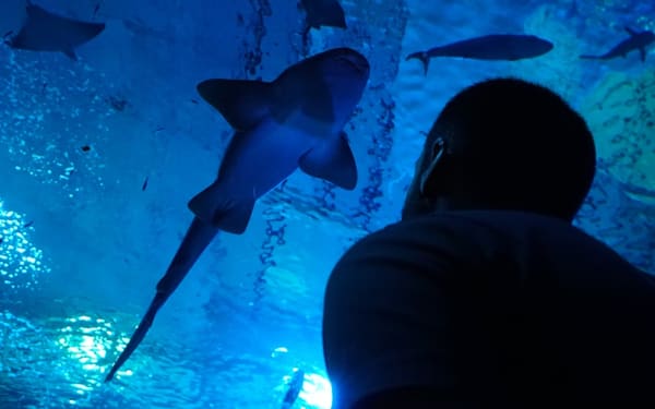 Seville Aquarium Ticket in Spain
