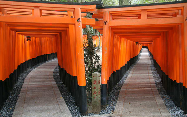 Kyoto 1 Day Bus Tour : Fushimi Inari, Kinkakuji, Bamboo Grove