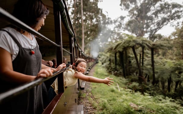 Puffing Billy Train & Penguin Parade Tour with Wildlife Encounters