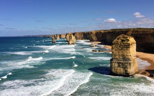 Great Ocean Road Reverse and Koala Spotting Guided Tour