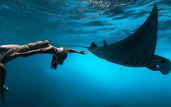 Manta Point Snorkeling & Land Coast East Tour Nusa Penida