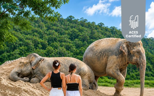 Freedom Elephant Reserve Phuket