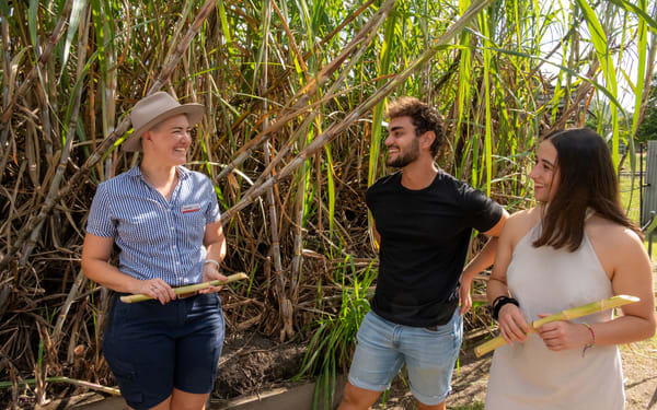 1-Hour Sarina Sugar Shed Tour and Tasting Experience