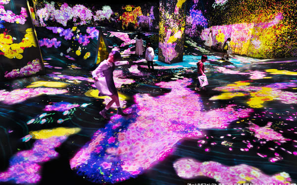 teamLab Forest Fukuoka Ticket