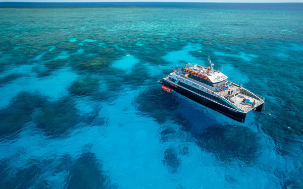 Cairns Great Barrier Reef Snorkel Experience