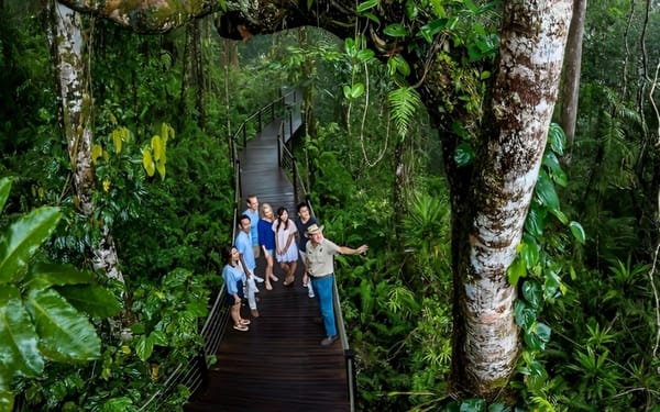 Kuranda, Skyrail and Scenic Rail Guided Day Tour with Transfers