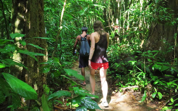 Krabi Khao Sok National Park 2-Day Guided Safari