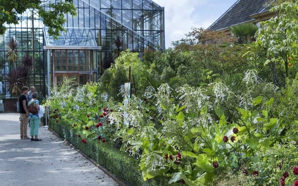 Hortus Botanicus Leiden Ticket