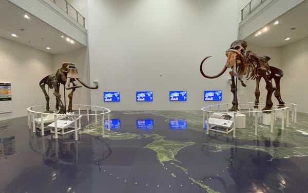 Hokkaido Museum [General Exhibition] Admission Ticket in Sapporo