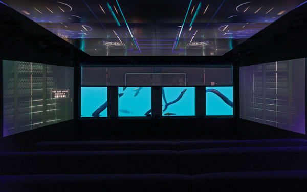 Time Tripper Underwater Adventure Admission Ticket