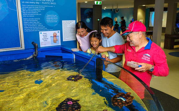 Dolphin Discovery Centre Ticket in Bunbury