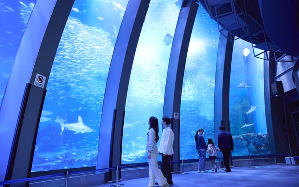 Yokohama Hakkeijima Sea Paradise Ticket