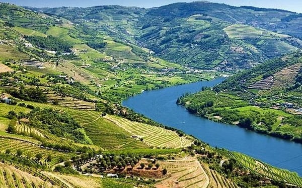 Porto: Douro Valley Wine Tour with Lunch Tastings & River Cruise
