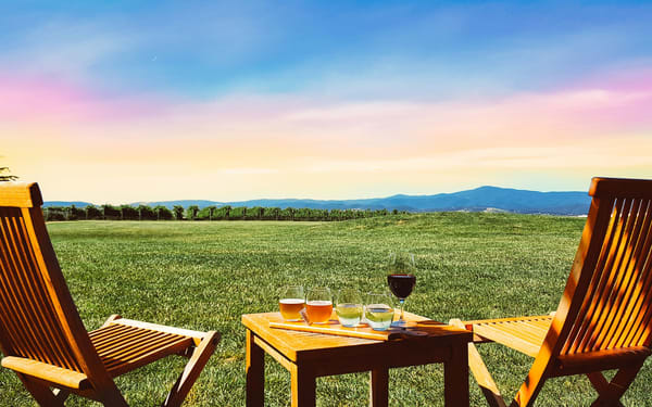 Yarra Valley Epic Wine Guided Tour from Melbourne