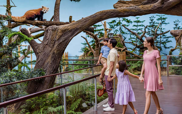 River Wonders Ticket | Mandai Wildlife Reserve, Singapore