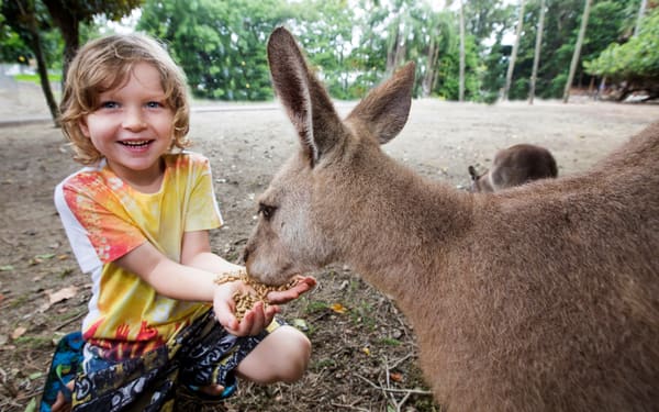Wildlife Habitat Port Douglas Ticket in Cairns