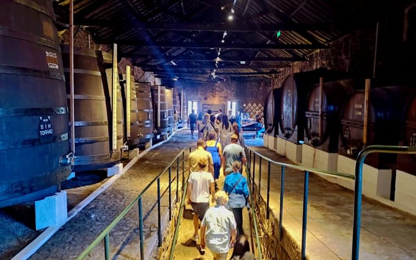 Port and Douro Wines Tasting Tour