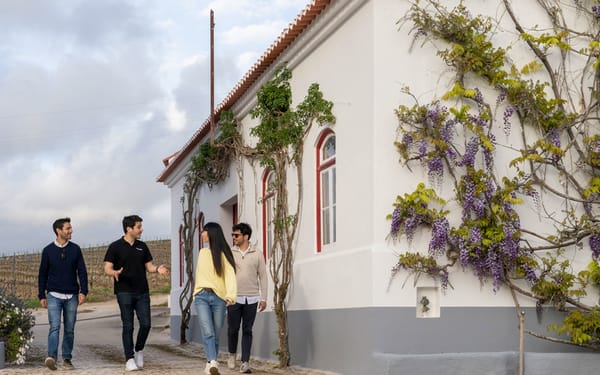 Sintra with Pena Palace, Winery Tour & Wine Tasting from Lisbon