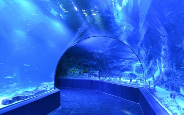 Atlantis Aquarium Madrid Ticket