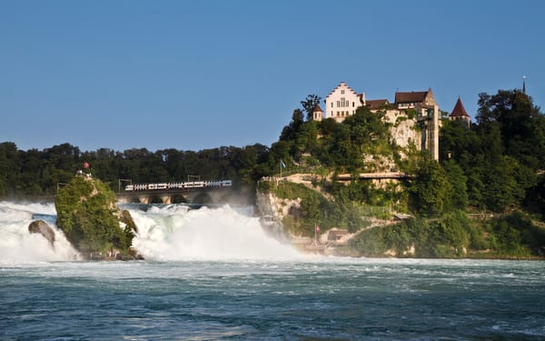 Rhine Falls Half-Day Tour with Transport