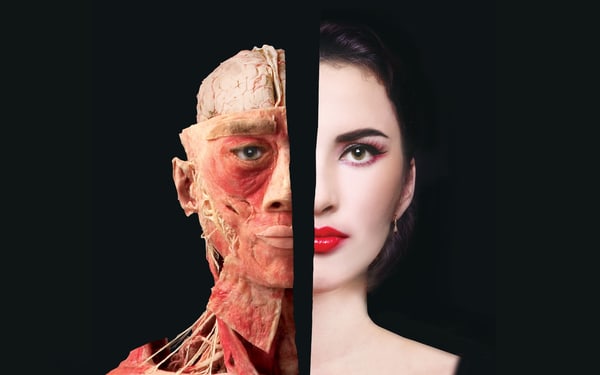 The Bodies Exhibition Ticket in Las Vegas