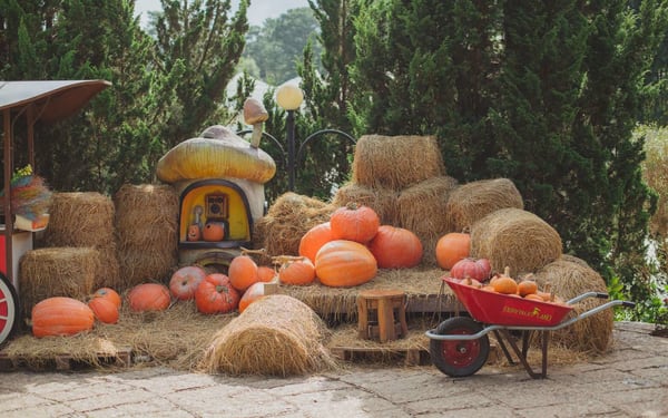 Fairytale Land and Vinh Tien Wine Cellar Ticket in Da Lat