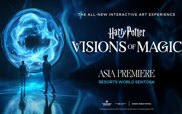 Harry Potter: Visions of Magic