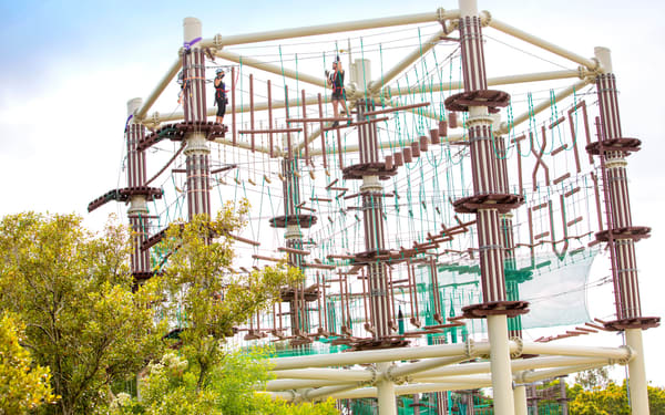 Next Level High Ropes Course in Maroochydore
