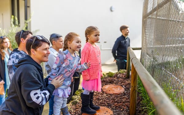 Wildlife Interaction and Hospital Tour in Perth