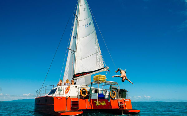 Whitsundays Tongarra Snorkel and Sailing Day Tour from Airlie Beach