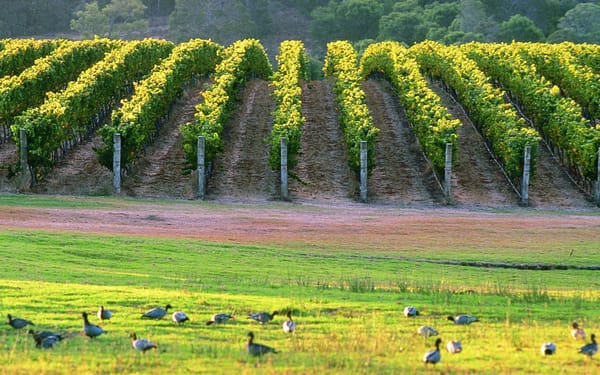 Perth Margaret River 2-Day Discovery with Lighthouse & Wineries