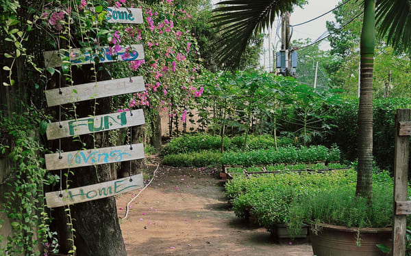 Private Farm Tour & Cooking Class in Ho Chi Minh City