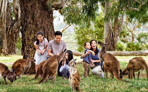 Cleland Wildlife Park Self Guided Tour from Adelaide