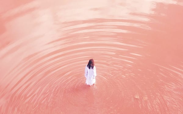 2 Days Pink Lake Western Australia Tour