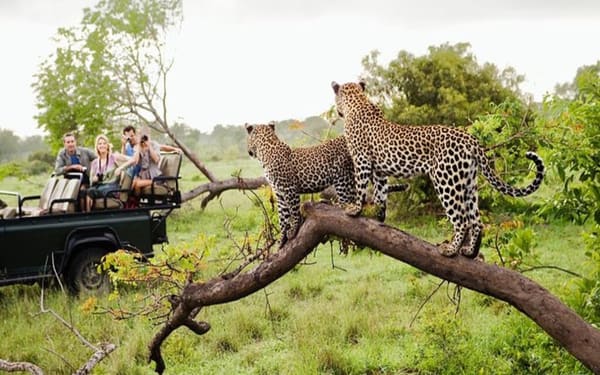 Sri Lanka Multi-Day Private Guided Tour