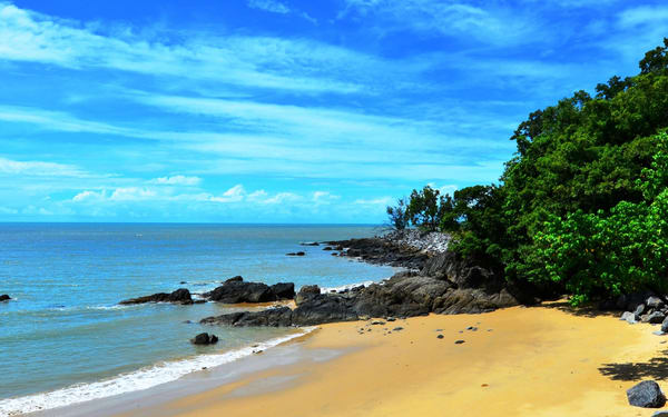 Cape Tribulation Day Tour from Cairns